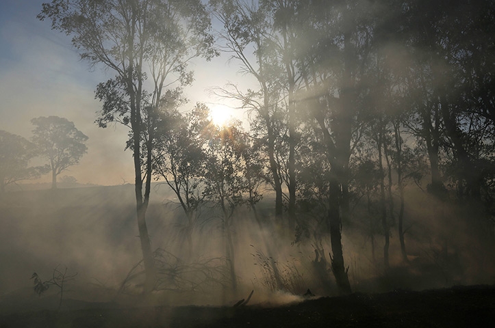 گزارش تصویری؛‌ استرالیا در آتش