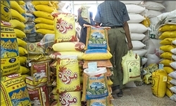  واردات برنج