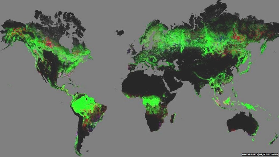 نقشه جنگلهای جهان