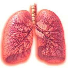 پیوند ریه افراد سیگاری به بیماران نیازمند خطری ندارد