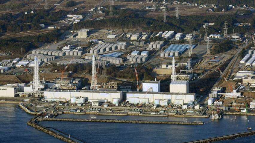 Rat suspected in Japans nuclear plant power outage