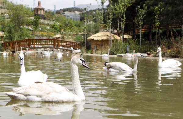 عکس‌های یک مجموعه کم‌نظیر؛ باغ پرندگان تهران