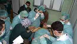 سوریه خشونت بیمارستان