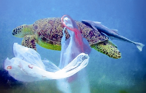 پسماندهای پلاستیکی، یک‌سوم زباله‌های اقیانوس‌ها