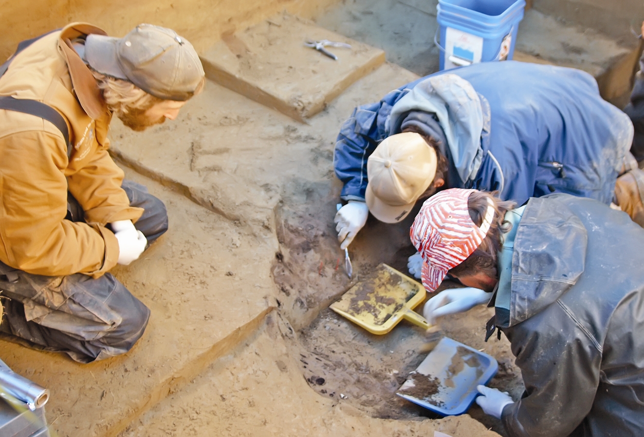 کهن‎ترین فسیل انسان اروپا در اسپانیا یافت شد