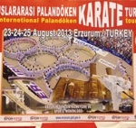 لوگوی مسابقات رزمی ترکیه