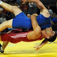 wrestling