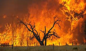 آتش‌سوزی وسیع در جنوب استرالیا بر اثر گرمای شدید  
