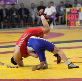 ‌‌‌wrestling