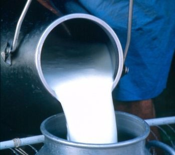 چرا مصرف شیر خام مضر است؟