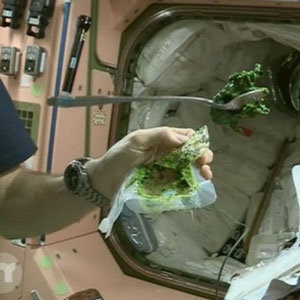 طراحی غذا برای فضانوردان