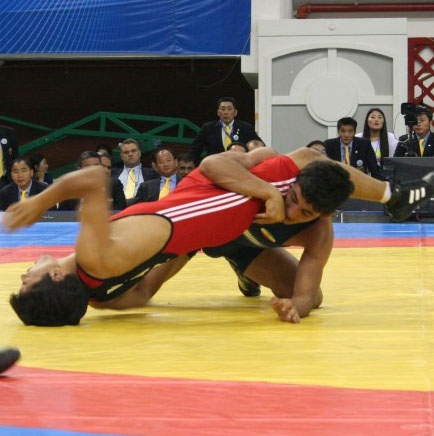 wrestling