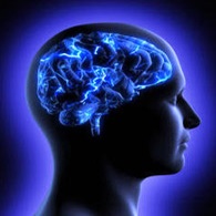 مغز انسان به اندازه یک توپ تنیس کوچک‌تر شده است 