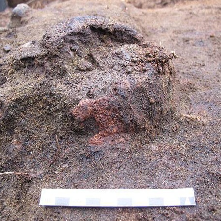 جمجمه‌ای هشت هزار ساله در نروژ کشف شد
