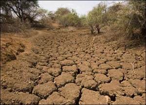 خشکسالی