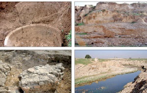 ۵۱هزار مترمربع از محوطه باستانی ۲۰۰هکتاری با آثاری از دوره پارت و ساسانی به یک فرد واگذار شد.