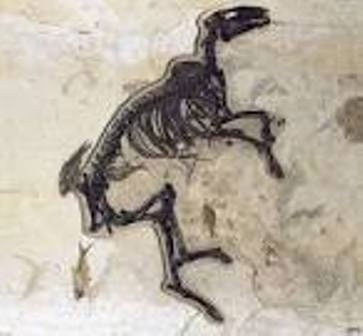 شناسایی فسیل جانوری از خانواده اسب‌ها با قدمت پنجاه میلیون سال 