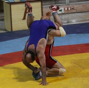 Wrestling