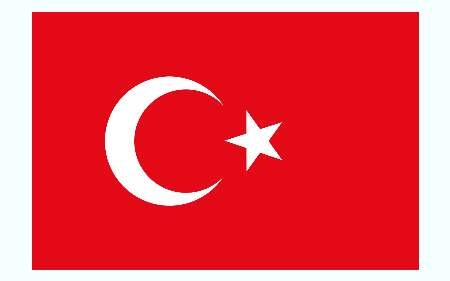  ترکیه نمایندگان سیاسی کشورهای عضو دائم شورای امنیت را فراخواند