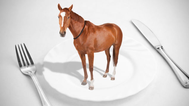 horse-meat scandal