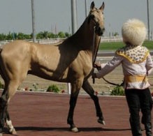 اسب و ترکمن