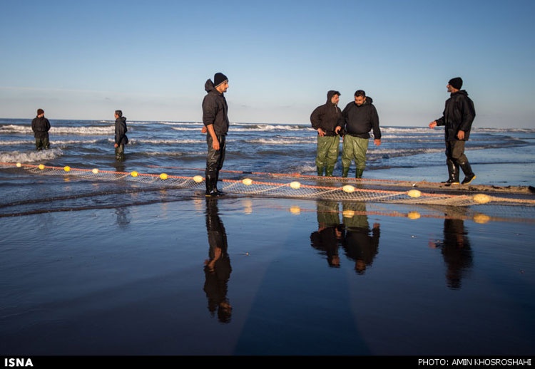 گزارش تصویری | صید ماهی در سواحل دریای خزر