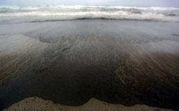 رفع آلودگی‌های نفتی از دریا با روش دوستدار محیط زیست محققان ایرانی