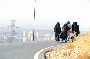 طبیعت گردی