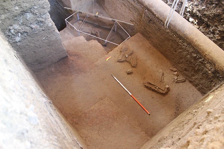 کشف بقایای دومین اسکلت در کنار اسکلت زن ۷ هزارساله تهران‎