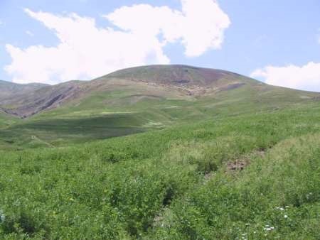 آغاز اجرای طرح کمربند سبز حفاظت اراضی کشور از استان سمنان