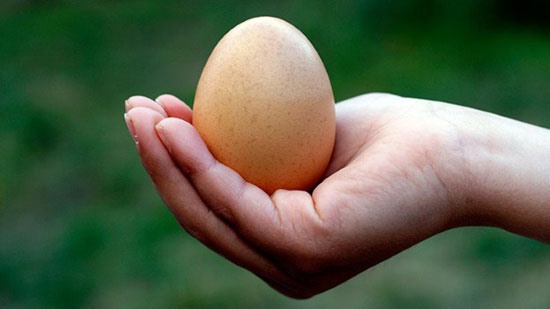 اثرات تخم مرغ بر روی سلامت