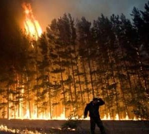 یک چهارم جنگل‌های جهان بر اثر آتش‌سوزی از بین رفته است