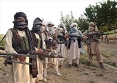 ۲۸۹ عضو گروه طالبان در افغانستان کشته شدند
