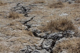 فرسایش خاک در ایران ۲۰ برابر متوسط جهانی است 