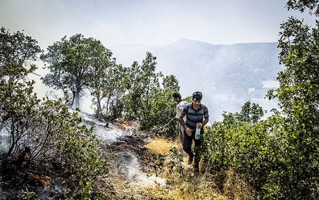 برای مهار آتش در جنگل‌ها بودجه لازم پیش‌بینی شده است 