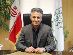 رامین عربی شهردار کهریزک 