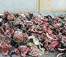  کشف صدها تن گوشت فاسد متعلق به دوران حکومت مائو در چین
