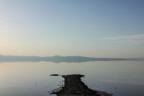 کاشت یک میلیون نهال در اطراف دریاچه ارومیه 