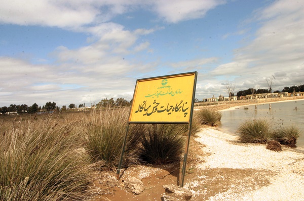 اصرار بر اجرای طرح مخرب گردشگری در آشوراده