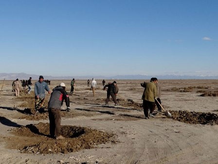 ۳۰۰ هزار هکتار از کانون‌های گرد و غبار دریاچه ارومیه تثبیت شد