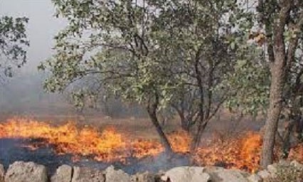 جنگل‌ها و مراتع منطقه حفاظت شده دیل گچساران همچنان در آتش می‌سوزد 