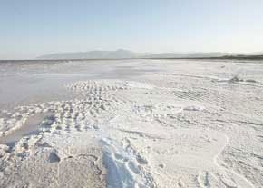 اصلاح روش‌های آبیاری اولویت برنامه‌های احیای دریاچه ارومیه است