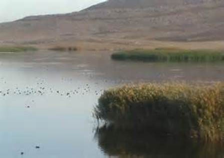 مهم‌ترین چشمه تامین‌کننده آب تالاب کانی برازان مهاباد خشک شد