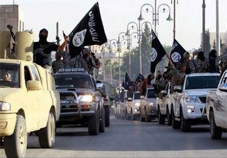 کشورهای عربی ۶۰ هزار تویوتا برای تروریست های داعش خریده اند