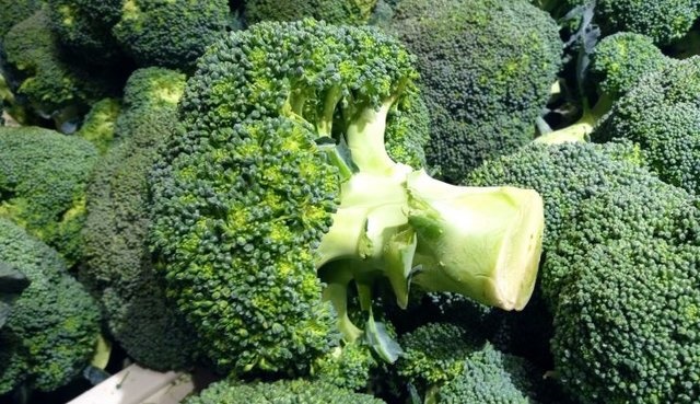 اکسیر جوانی 