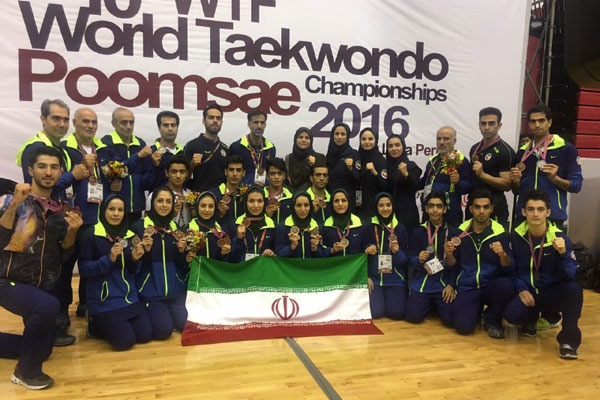 Iran Poomsae Team