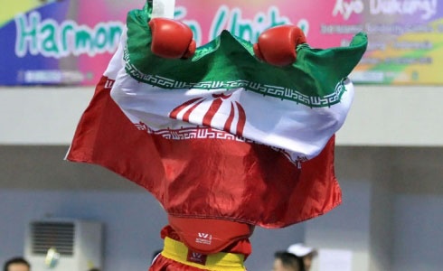 Wushu