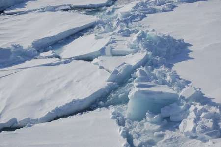 ذوب شدن یخ‌های قطبی اثرات فاجعه‌باری به دنبال دارد  