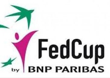 Fedcup Logo