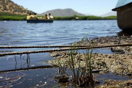 مشکل اصلی دریاچه زریبار افزایش مواد مغذی و رسوبات است